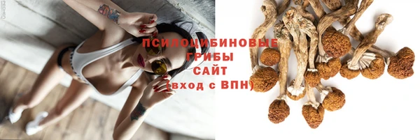 mix Белокуриха